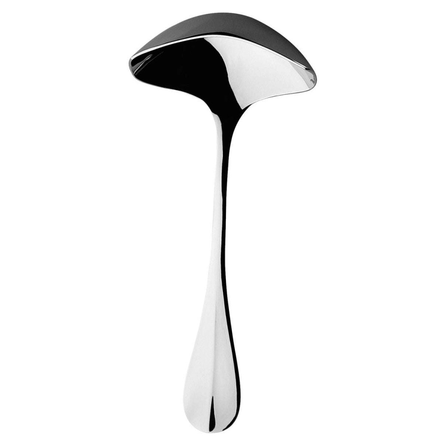 Cutlery * | Shop Blois Miroir Sauce Ladle